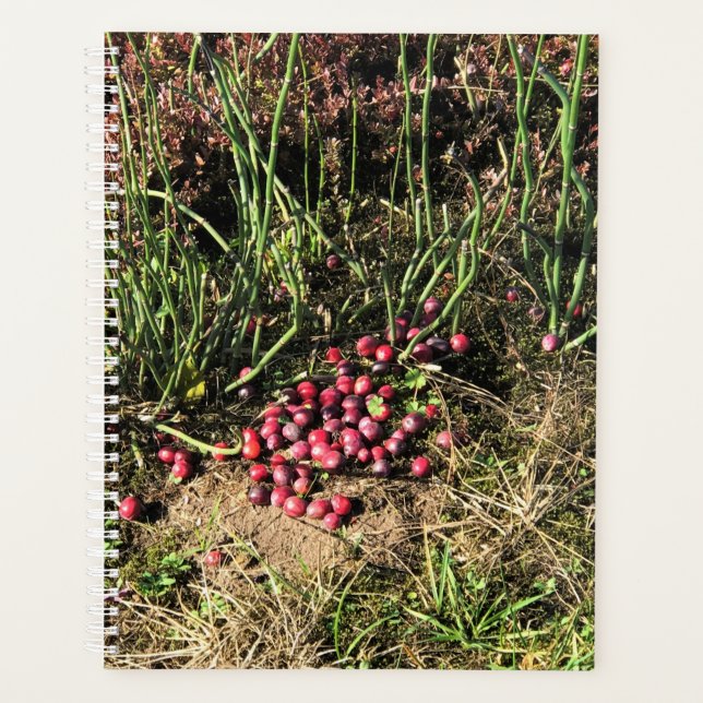Agenda Fazenda de amora, Long Beach, Washington (Frente)