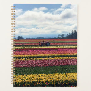 Agenda Fazenda de Tulipas de Sapato de Madeira, Woodburn,