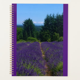 Agenda Fazenda lavanda