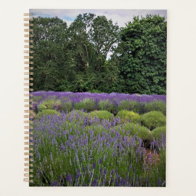 Agenda Fazenda lavanda (Frente)