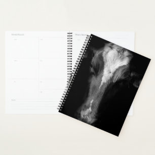 Agenda Fazendas Foto Da Cabeça De Vaca B&W