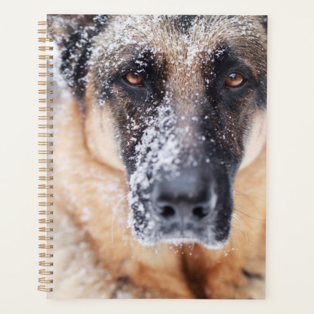 Agenda Fechamento Do german shepherd Coberto Na Neve (Frente)