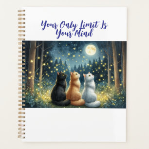 Agenda Feline Friends e o Luar
