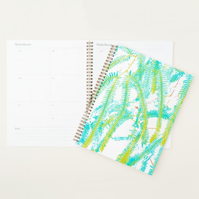 Agenda Fern (Exibição)