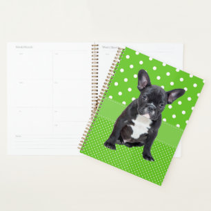 Agenda Filhote de Bulldog Francês Fofo Pontos Verde