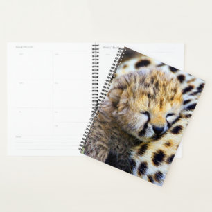 Agenda Filhote de Guepardo