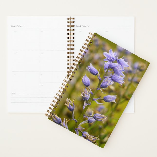 Agenda Fleurs (Exibição)
