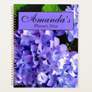 Agenda Flor azul púrpura da variedade Periwinkle