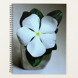 Agenda Flor branca