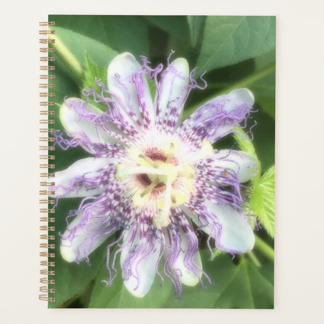 Agenda Flor da Paixão (Frente)