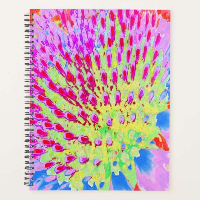 Agenda Flor de Cone Abstrata Arco-íris Multicolorida (Frente)