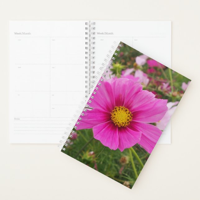 Agenda Flor de Cosmos Rosa Bonita (Exibição)
