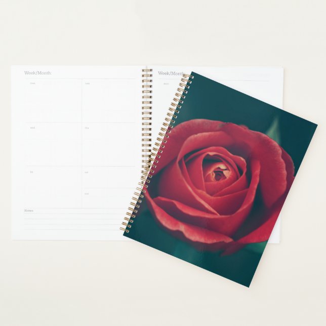 Agenda Flor de Rosa vermelha bonita (Exibição)