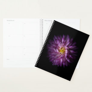 Agenda Flores 20