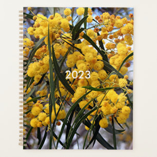 Agenda Flores amarelas da árvore de vassoura australiana