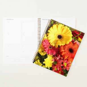 Agenda Flores Amarelas de Gerbera Chrysanthemum
