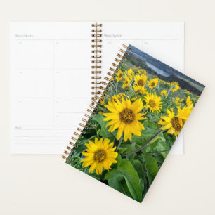 Agenda Flores Balsomroot Columbia River, Oregon