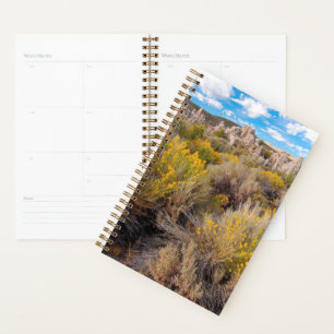 Agenda Flores Blooming Sagebrush California