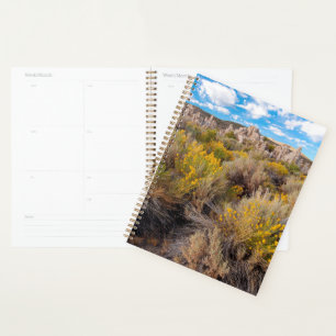 Agenda Flores Blooming Sagebrush California