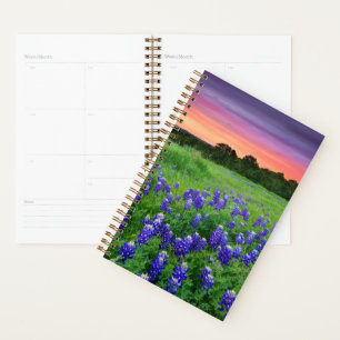 Agenda Flores Bluetooth no Texas Sunset