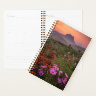 Agenda Flores   Chiang Dao, Chiang Mai, Tailândia