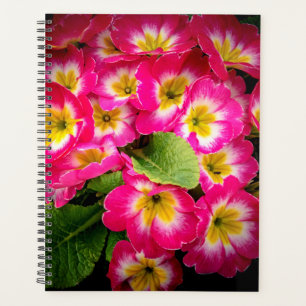 Agenda Flores da primavera de 2022
