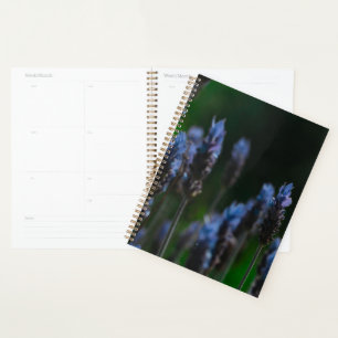 Agenda Flores de Lavanda Azul Púrpura Pastel