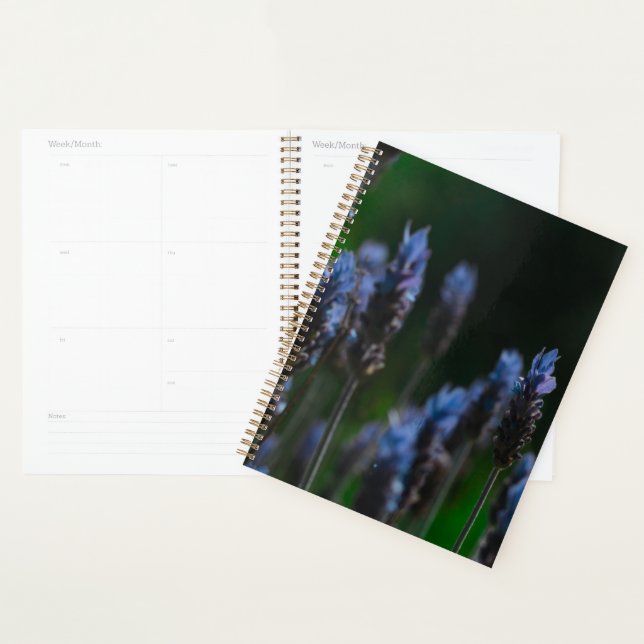 Agenda Flores de Lavanda Azul Púrpura Pastel (Exibição)