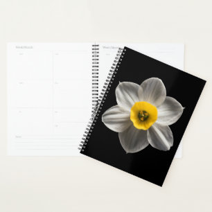 Agenda Flores Flor Branca De Daffodilo