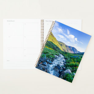 Agenda Flores Flores selvagens no Colorado
