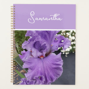 Agenda Flores Íris Lavandas Roxas Apron Lilac