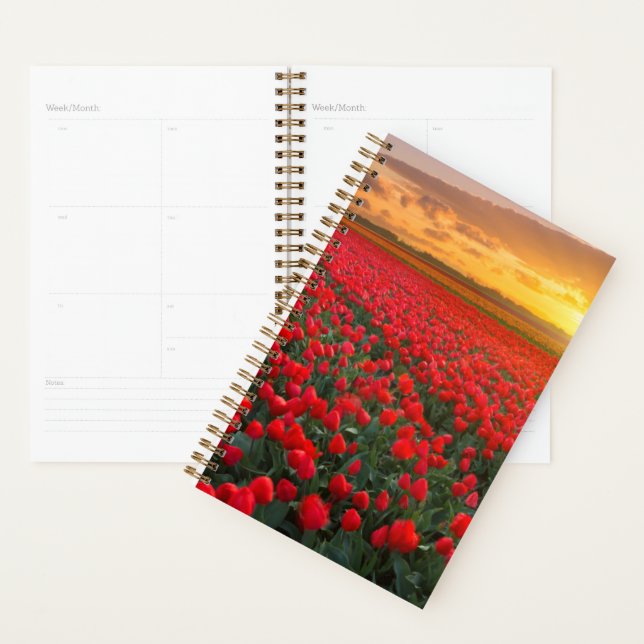 Agenda Flores | Jardim Botânico Holanda (Exibição)