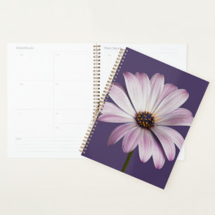 Agenda Flores   Margarida Branca e Roxa