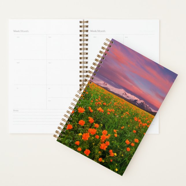 Agenda Flores | Montanhas com paisagens de flores silvest (Exibição)