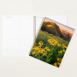 Agenda Flores Mountain Meadow Brested Colorado