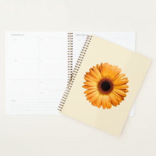 Agenda Flores Orange Gerbera