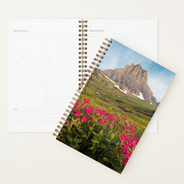 Agenda Flores | Parque Nacional Glacier de Montana (Exibição)