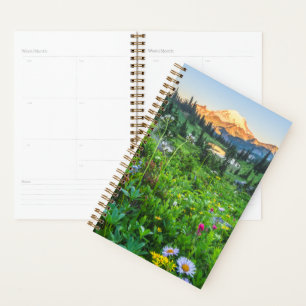 Agenda Flores   Parque Nacional Monte Rainier
