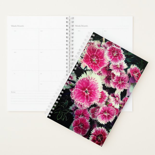 Agenda Flores rosa e brancas (Exibição)