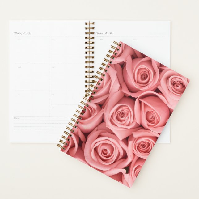 Agenda Flores | Rosas rosadas (Exibição)
