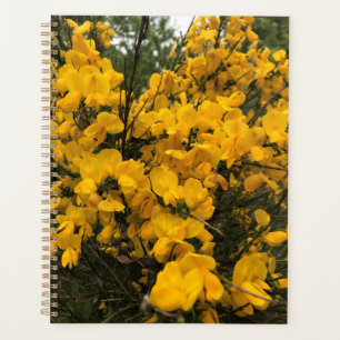 Agenda Flores selvagens no Caminho, Oregon