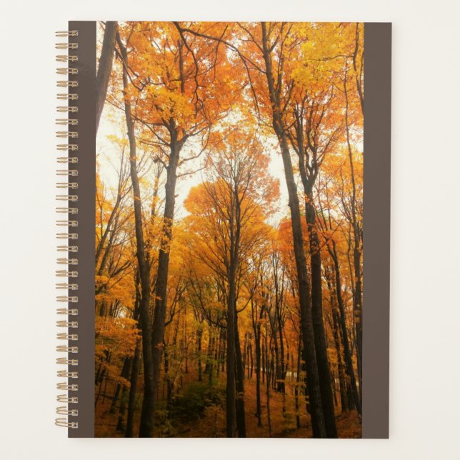 Agenda Floresta de Outono Laranja (Frente)