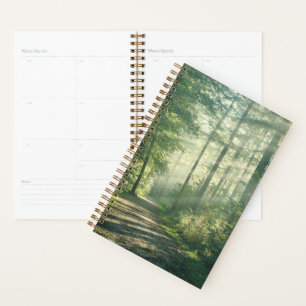Agenda Florestas   Forest Path Hamburg Alemanha