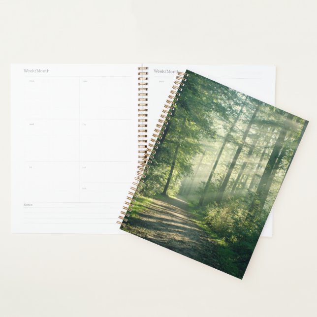 Agenda Florestas | Forest Path Hamburg Alemanha (Exibição)