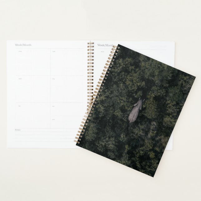 Agenda Florestas | Reserva de caça Lalibela (Exibição)