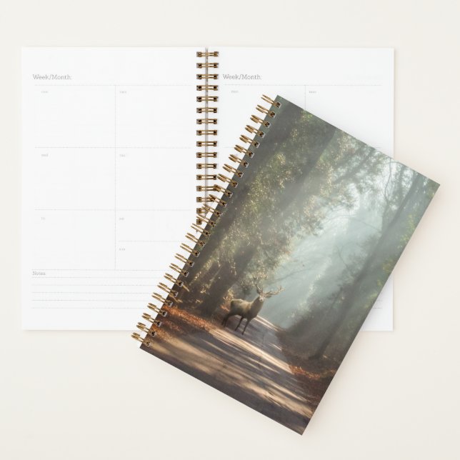 Agenda Florestas | Stag Woodland (Exibição)