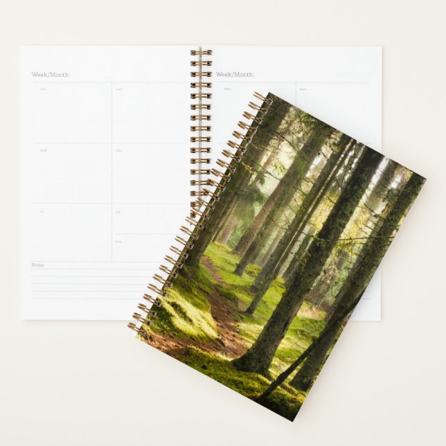 Agenda Florestas | Suecia florestal boreal (Exibição)