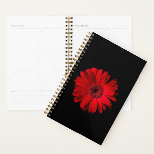 Agenda Flowers Red Gerbera Daisy