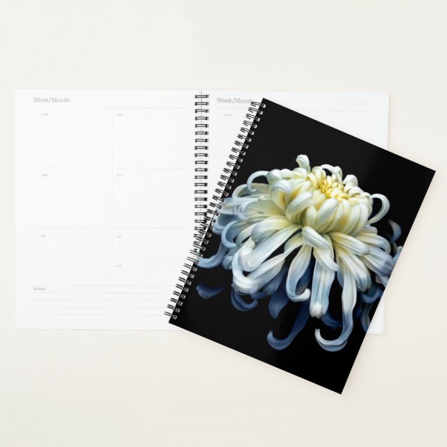 Agenda Flowers | White Chrysanthemum (Exibição)
