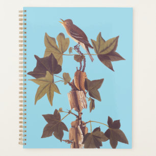 Agenda Flycatcher da Trilha de Audubon